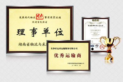 褐燕供應(yīng)鏈的服務(wù)